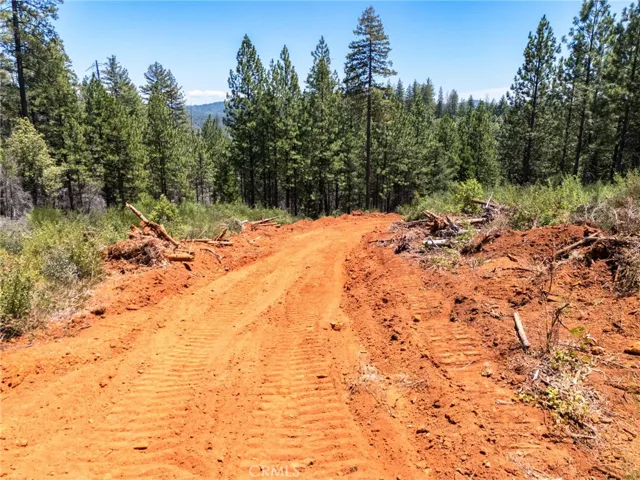 0 Old Forbestown Road, Forbestown, California 95941