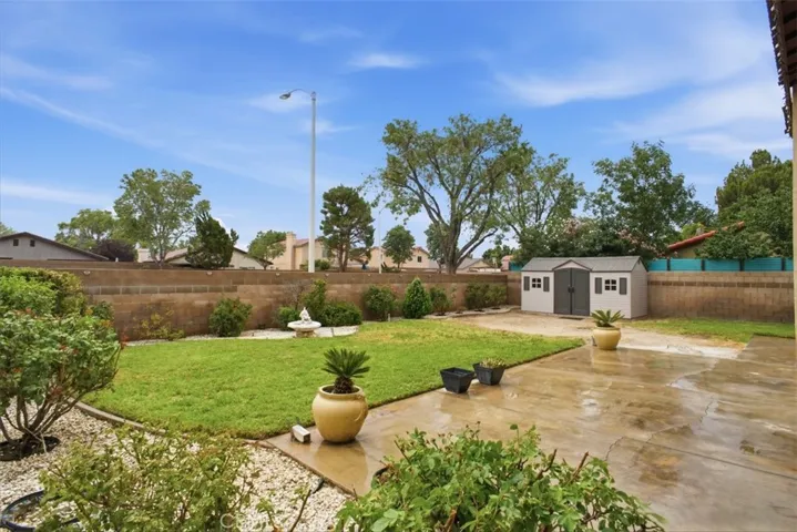 Backyard l