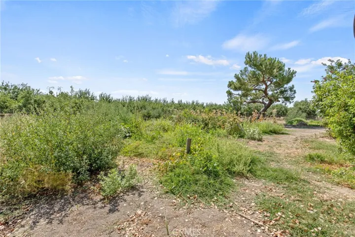 16565 Lacey Boulevard, Lemoore, California 93245