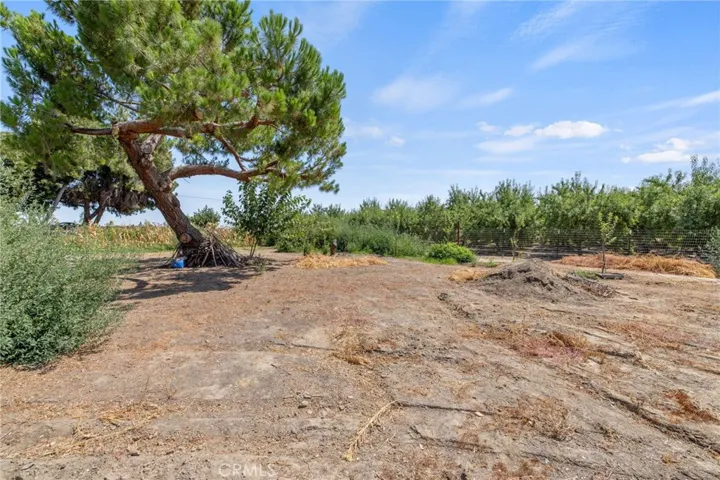 16565 Lacey Boulevard, Lemoore, California 93245