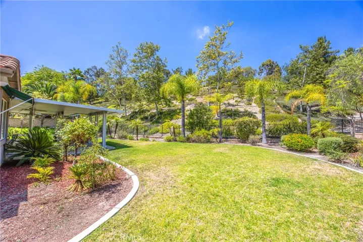 Generous backyard with mature landscaping and open lawn space