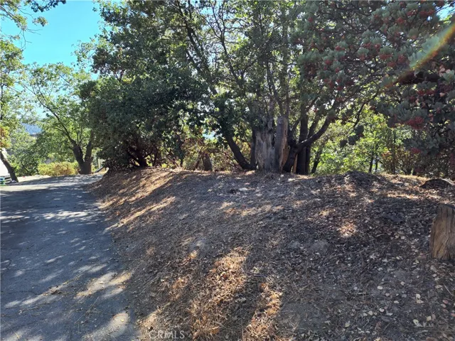 1248 Glacier Drive, Lake Arrowhead, California 92352