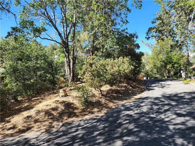Lower corner of lot