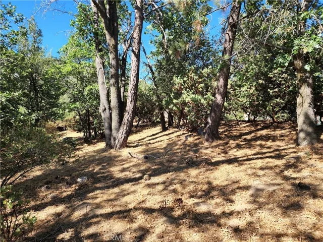 1248 Glacier Drive, Lake Arrowhead, California 92352