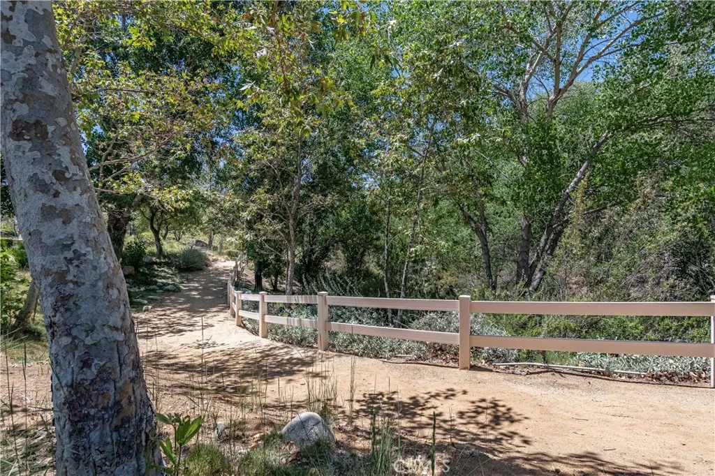 Walking Trails