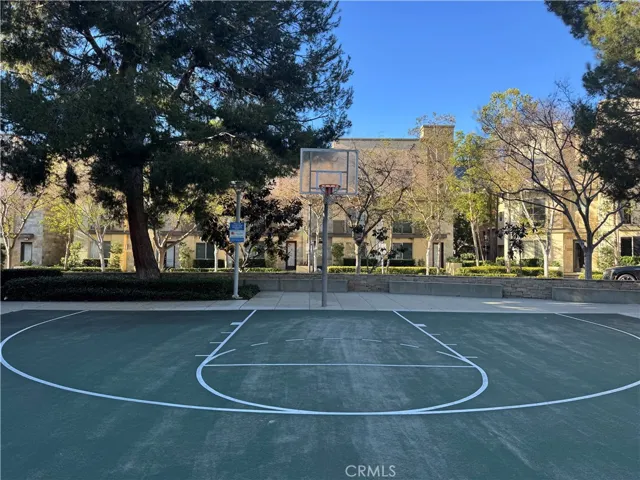 Basket ball court