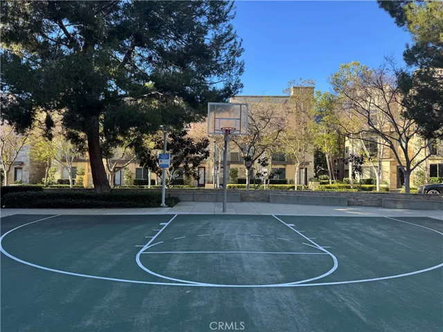 Basket ball court