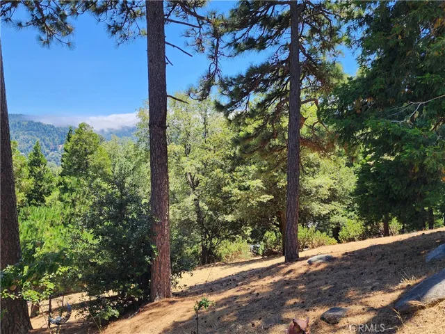 315 Weisshorn Drive, Crestline, California 92325