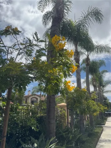 2401 Ladrillo Aisle, Irvine, California 92606
