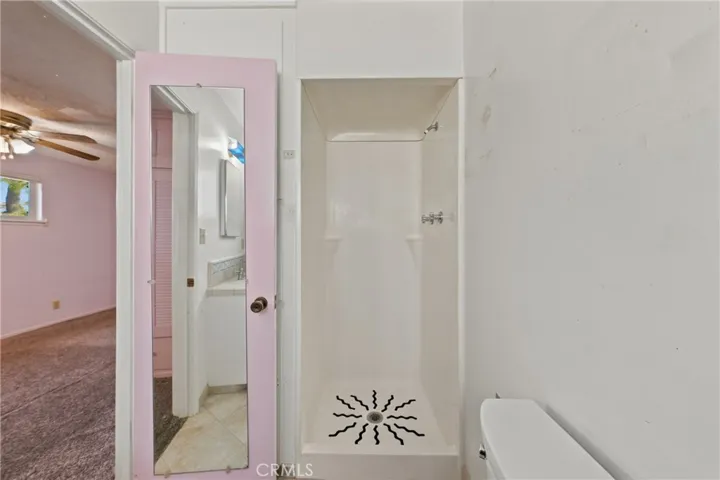 shower in primary bathroom
