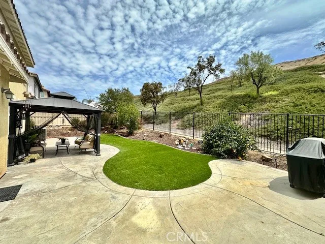 Backyard picture C