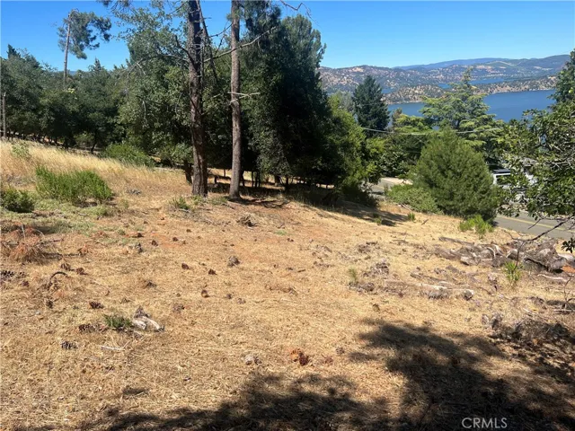 8291 N Heights, Kelseyville, California 95451