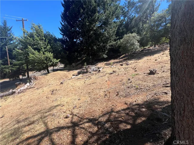 8291 N Heights, Kelseyville, California 95451