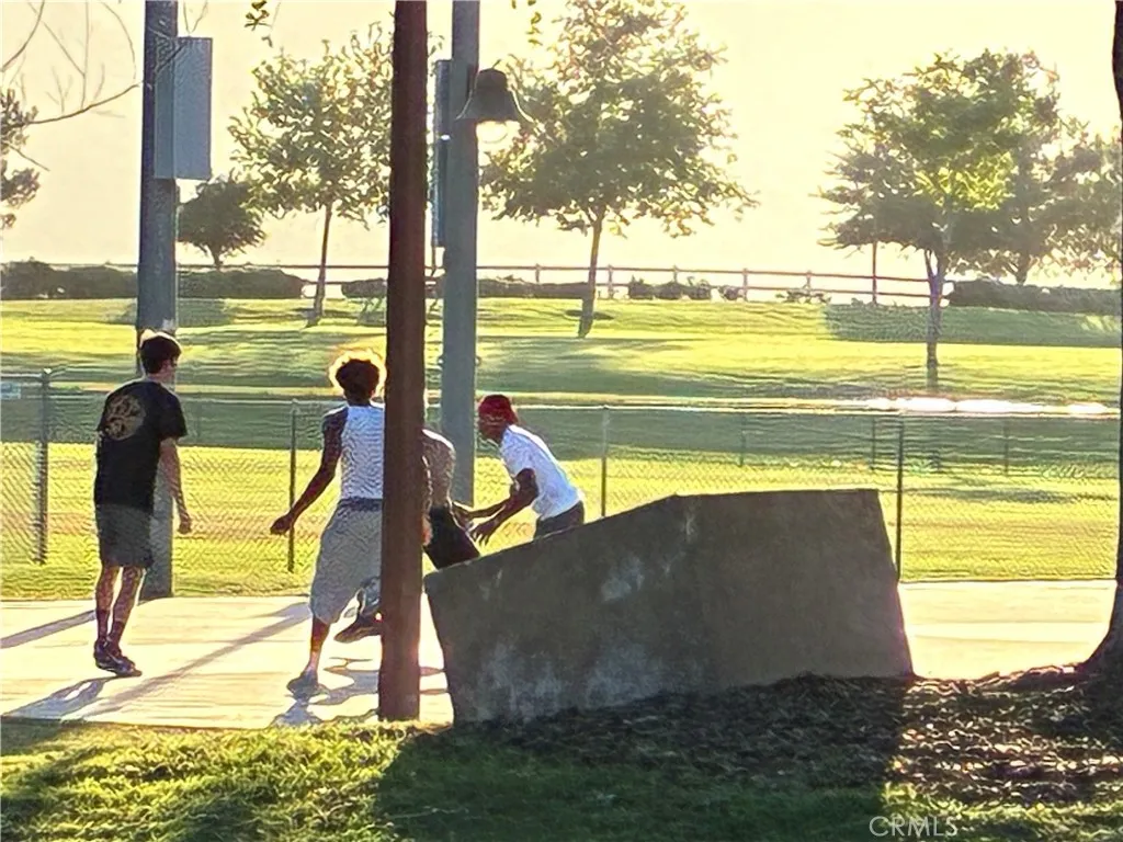 Basketball Court