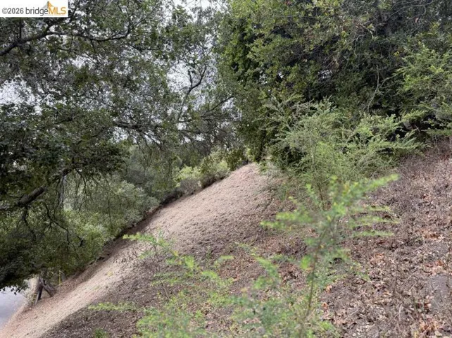 7243 Thorndale Drive, Oakland, California 94611
