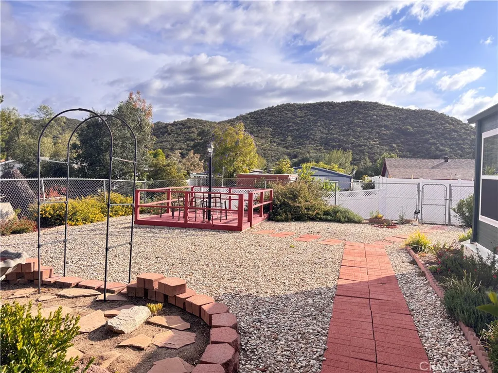 Backyard Views