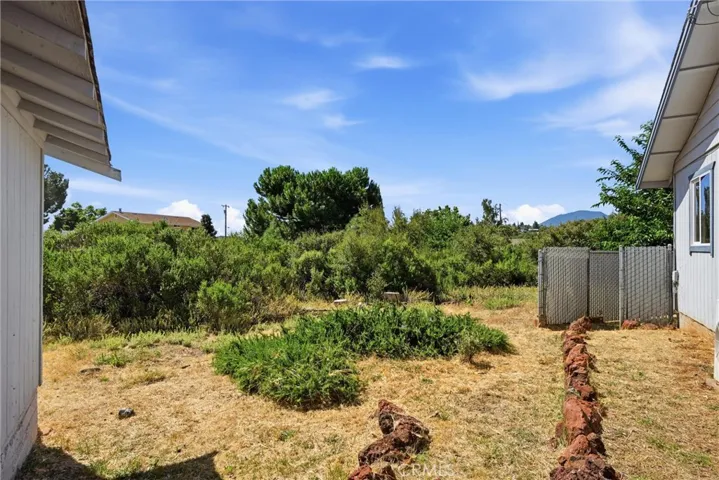 East Side Yard