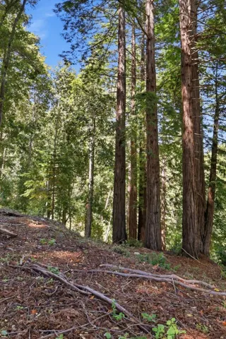 375 Blair Ranch Road, Scotts Valley, California 95066