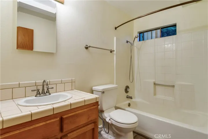 Lower level Bathroom
