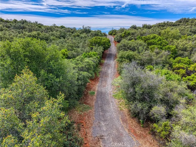 Road to top of the property...
