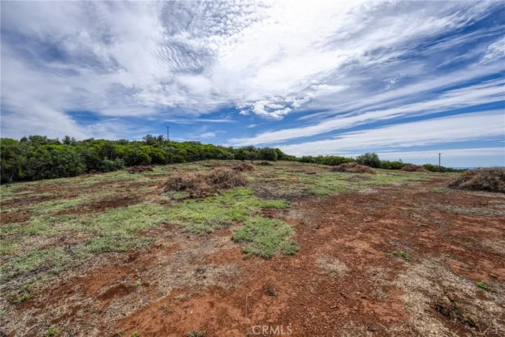  A large area has been cleared for building sites...