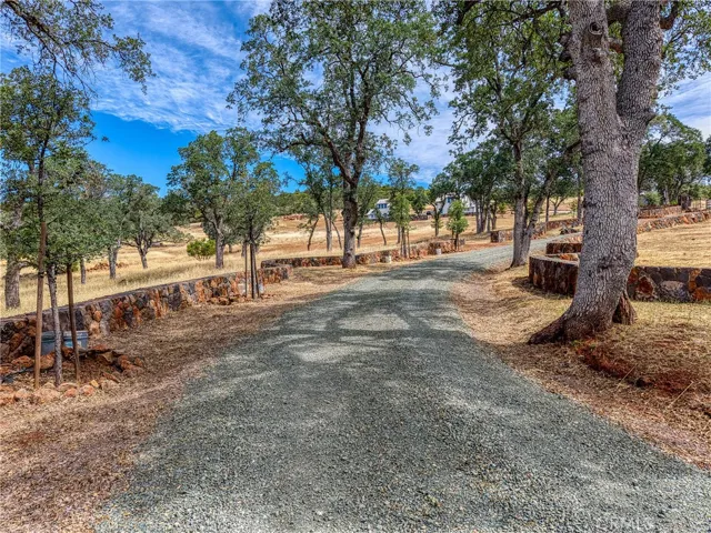 Beautiful stonework on the roads going towards the property.