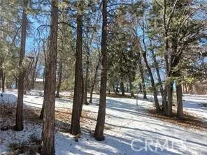 0 Columbine, Big Bear City, California 92314