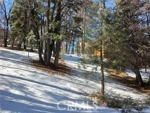 0 Columbine, Big Bear City, California 92314