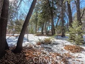 0 Columbine, Big Bear City, California 92314