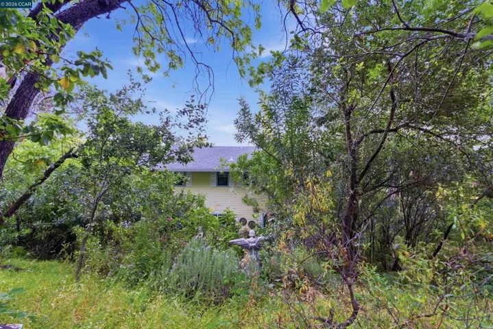 407 Country Club Ln, Napa, California 94558
