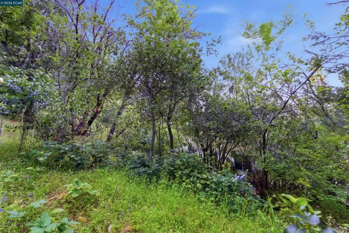 407 Country Club Ln, Napa, California 94558