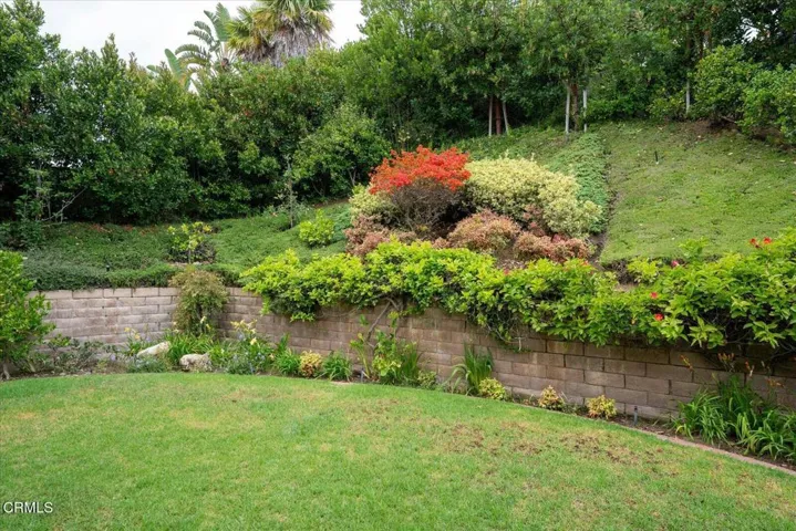 42-Back Yard