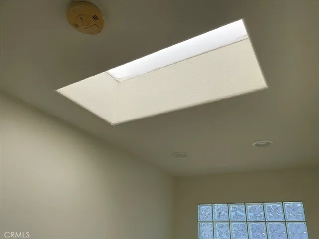 Skylight Primary Bathroom
