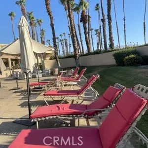 Loungers at the Swimming Pool