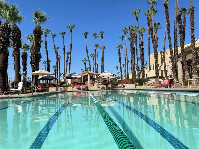 Olympic Swimming Pool, Heated, and 46 other pools and jacuzzi’s