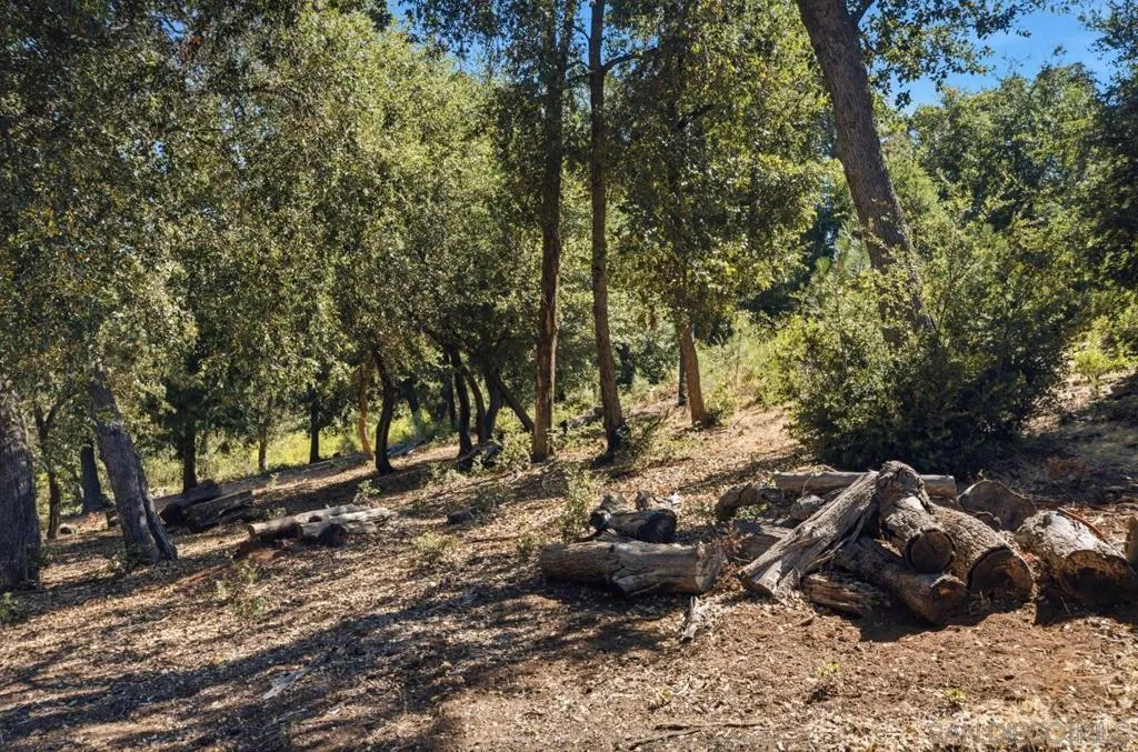 0 Toyan Mountain Lane, Julian, California 92036 — photo 5