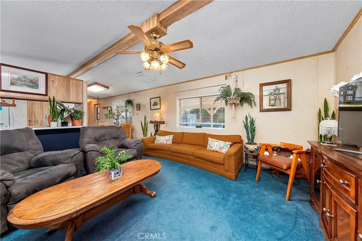32117 42nd Street W, Acton, California 93510