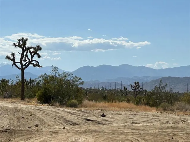 7374 Olympic Road, Joshua Tree, California 92252
