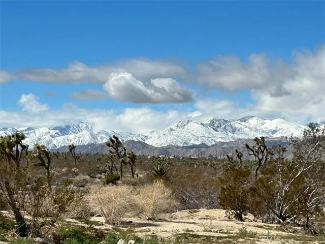 7374 Olympic Road, Joshua Tree, California 92252