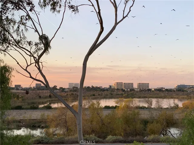 311 Stanford Court, Irvine, California 92612