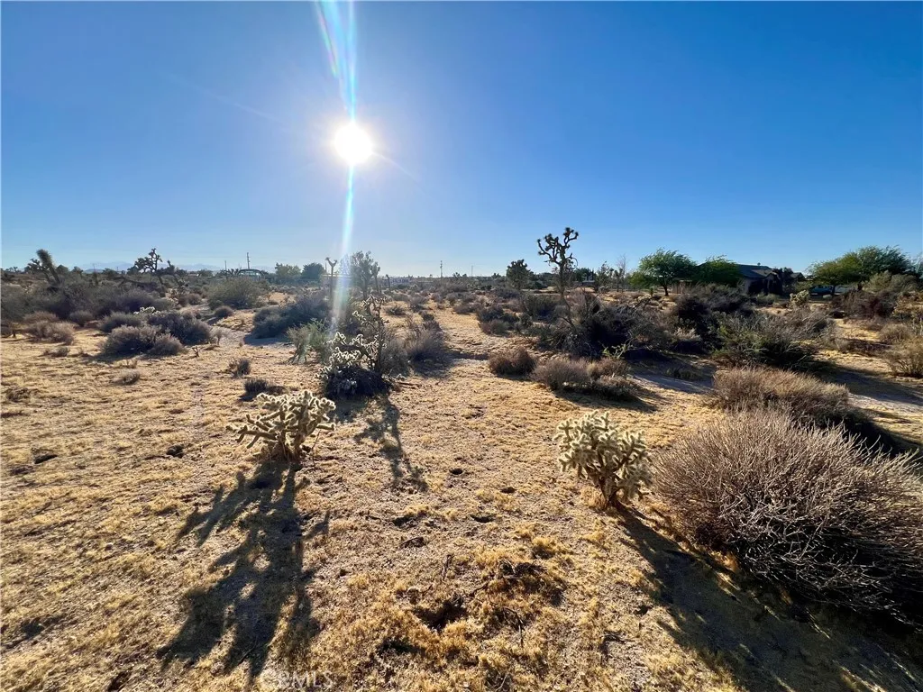 0 Anita Avenue, Yucca Valley, California 92284 — photo 4