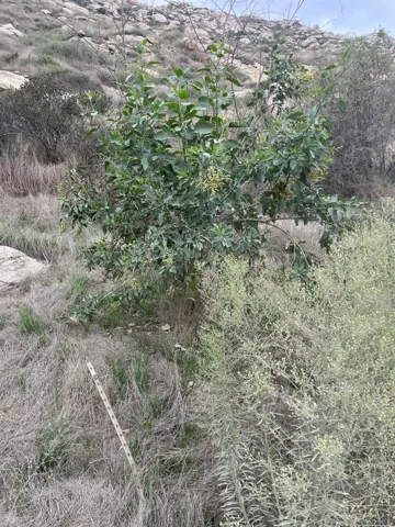 0 Willow Road, Lakeside, California 92040