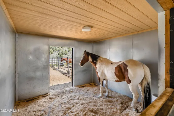 Barn/ Stalls