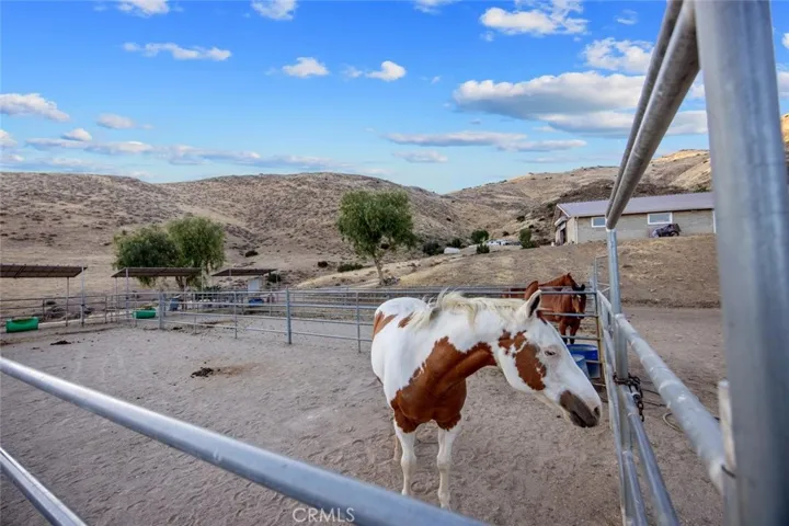 6931 Sierra, Agua Dulce, California 91390