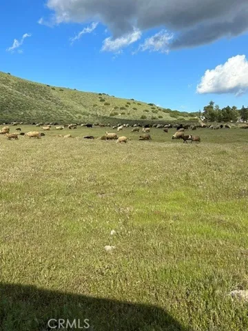 6931 Sierra, Agua Dulce, California 91390