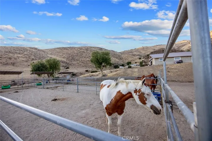 6931 Sierra, Agua Dulce, California 91390
