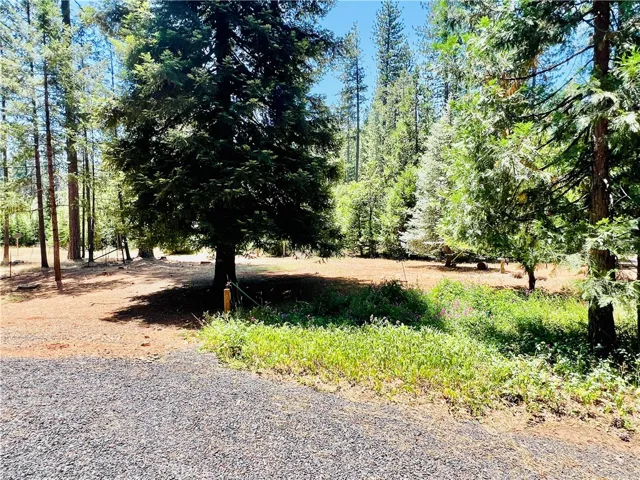 15793 Coutolenc, Magalia, California 95954