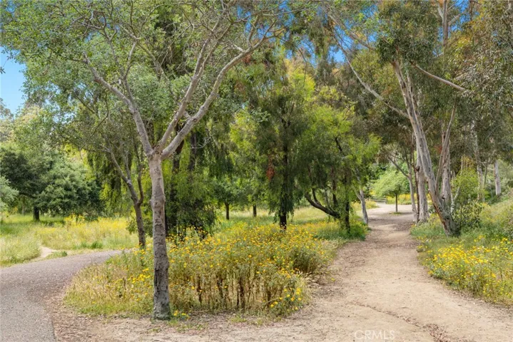 Winding paths beneath a canopy of mature trees right outside the neighborhood.