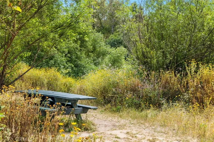Nice place for a picnic.