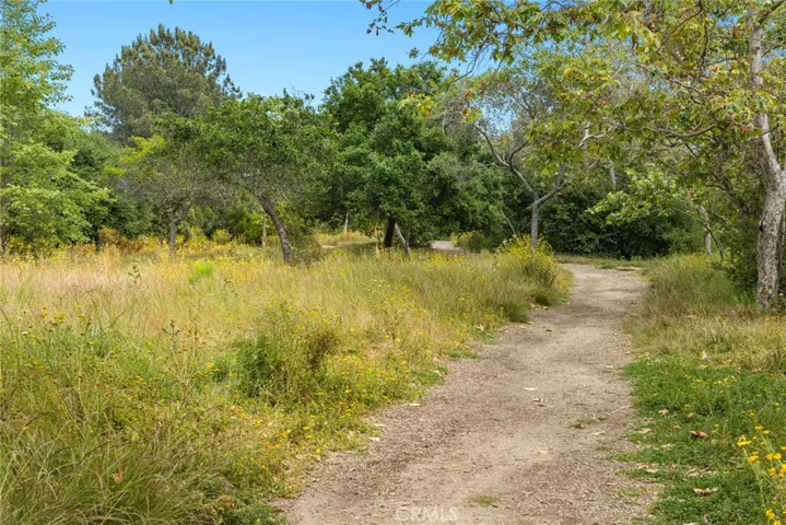 Step outside the community gate and explore miles of scenic Canyon Park trails.